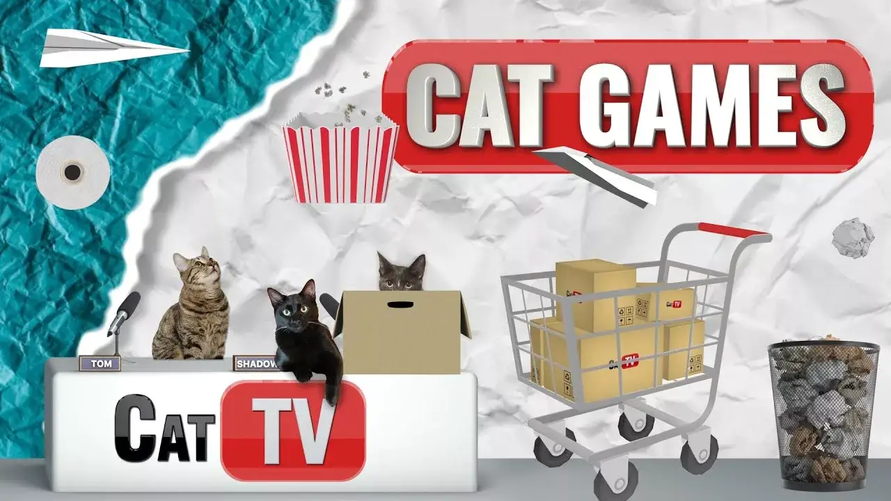 CAT Games | Paws and Play: Cat TV Extravaganza with Paper, Bags, and Boxes! 📦 | Videos For Cats 😼