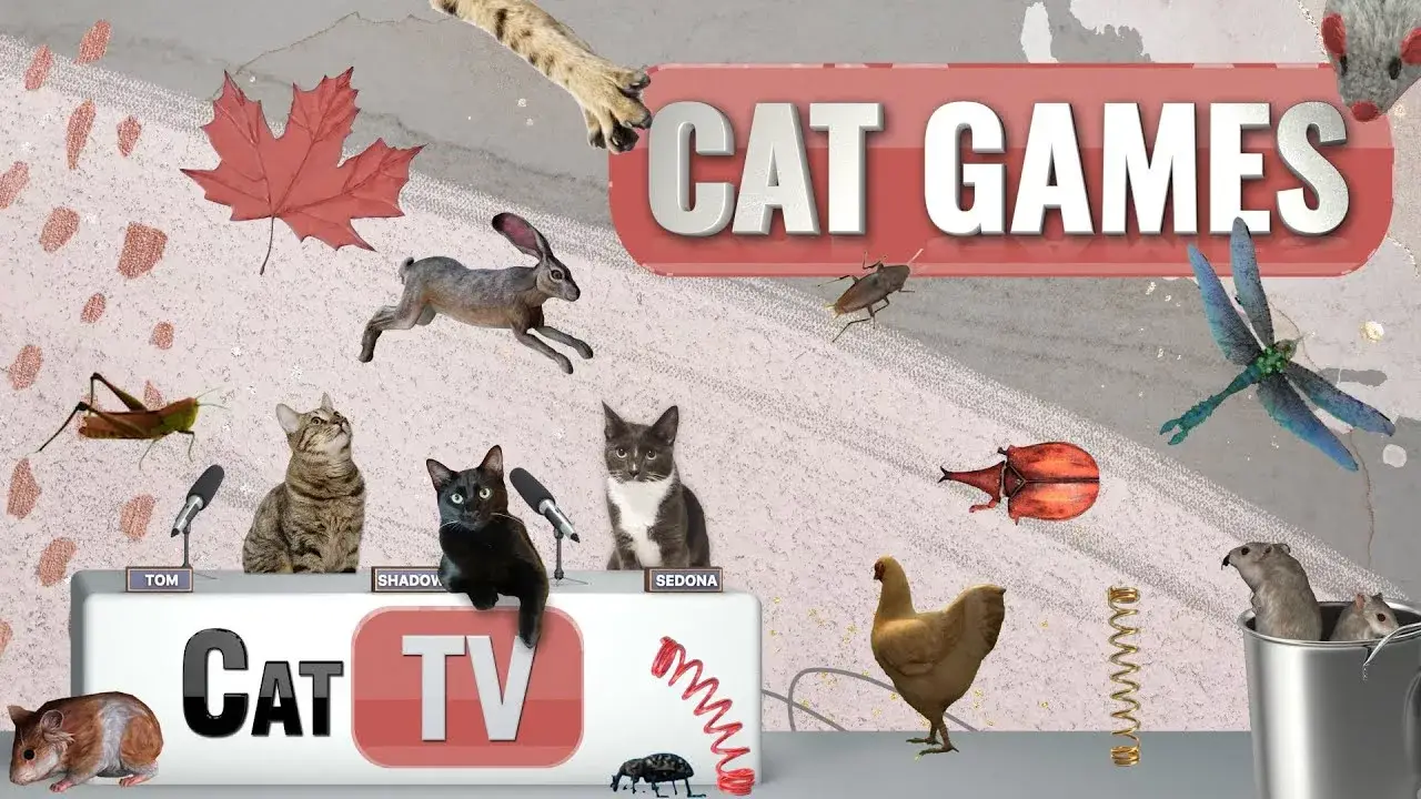 Cat Games | Ultimate Cat TV Compilation Vol 11 | 1 HOUR 🐱📺🐜🐰🐝🐞🦋🧶🐁🦖