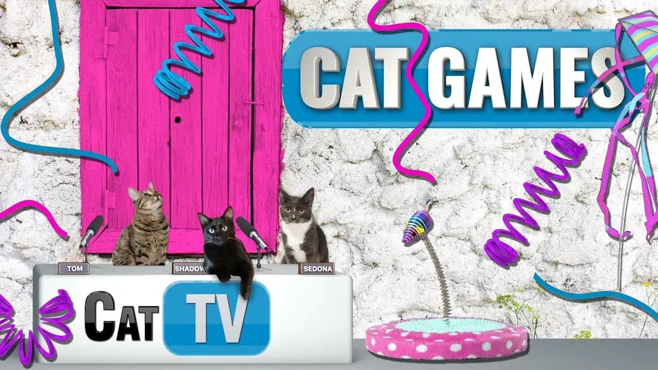 CAT Games | Strings and Springs Spectacle 🧵🌀 | Cat Toy Videos For Cats to Watch | Cat TV 😼