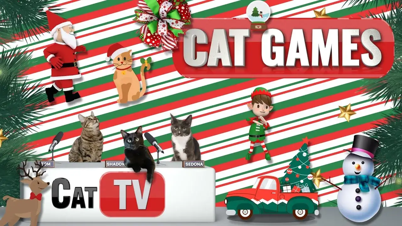 CAT Games | Jingle Paws Wonderland: Festive Feline Fun for Christmas Cats! 🎄🐾🎅 | Cat TV 🐱