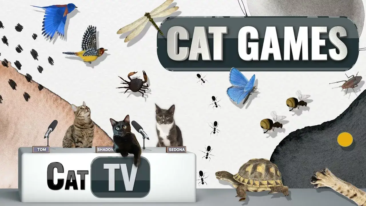 Cat Games | Ultimate Cat TV Compilation Vol 12 | 1 HOUR 🐱📺🎈🦜🐜🐭🧵🐝🐞🦋🦎