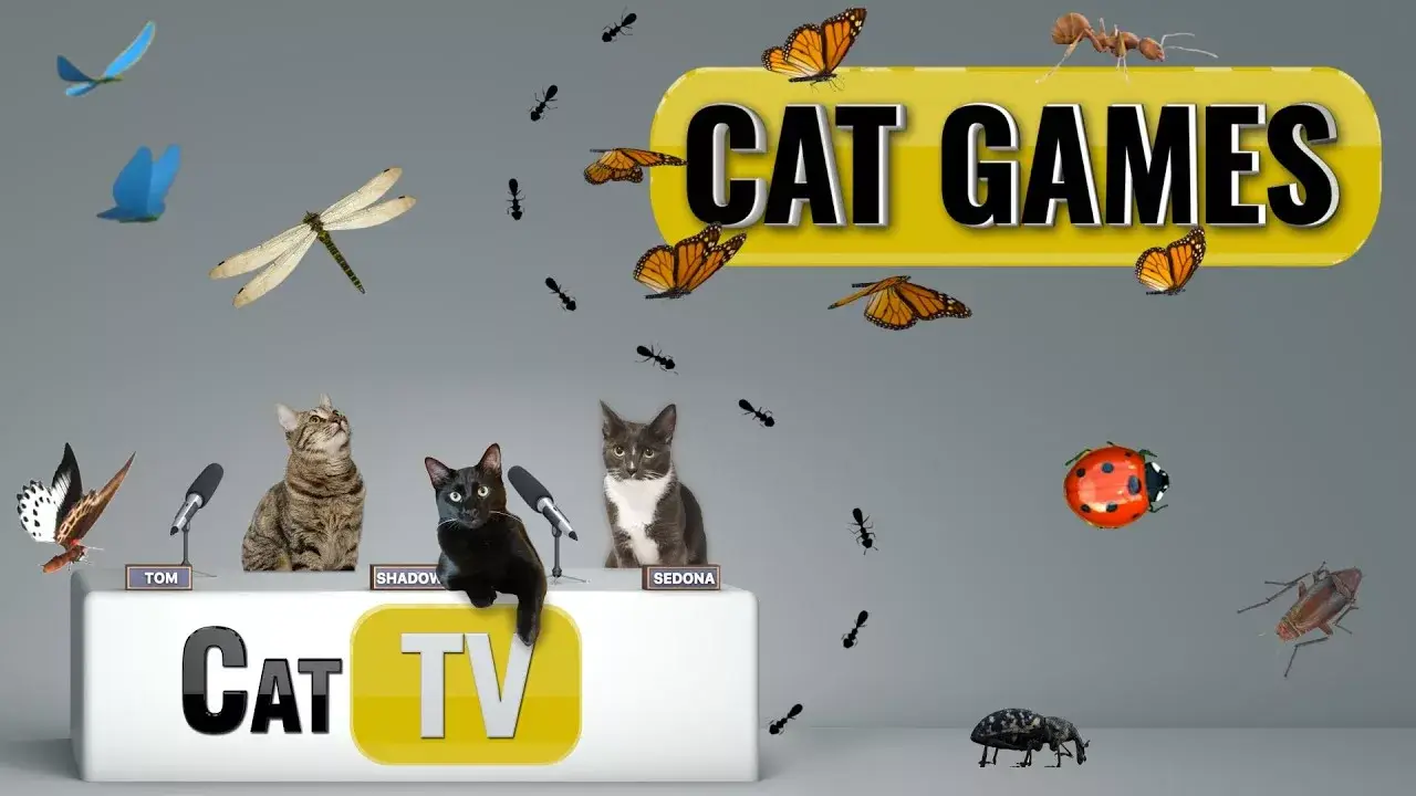 CAT Games | Ultimate Cat TV Bugs and Butterflies Compilation Vol 6 🪲 🐞🦋🦗🐜 | Videos For Cats to Watch
