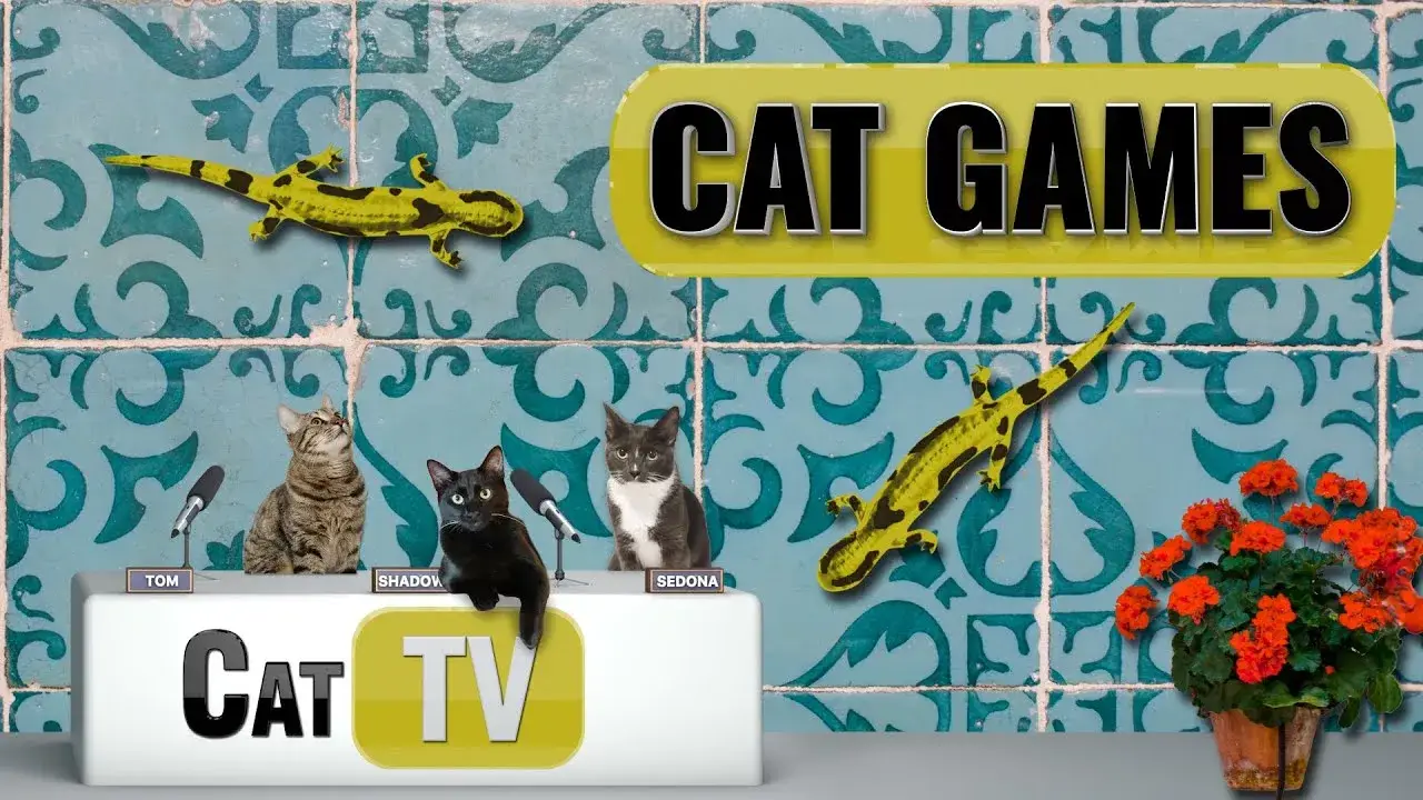 Cat Games | 🦎 Aunt Linda the Lizard in Spain! 🦎🇪🇸 | Cat TV | Lizard Videos for Cats to Watch 😼
