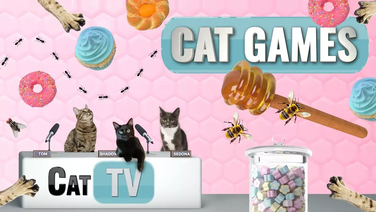 CAT Games | Sweet Adventure for Cats: Bug Buffet Bonanza! 🍭🐜🐾 | Videos For Cats to Watch 😼