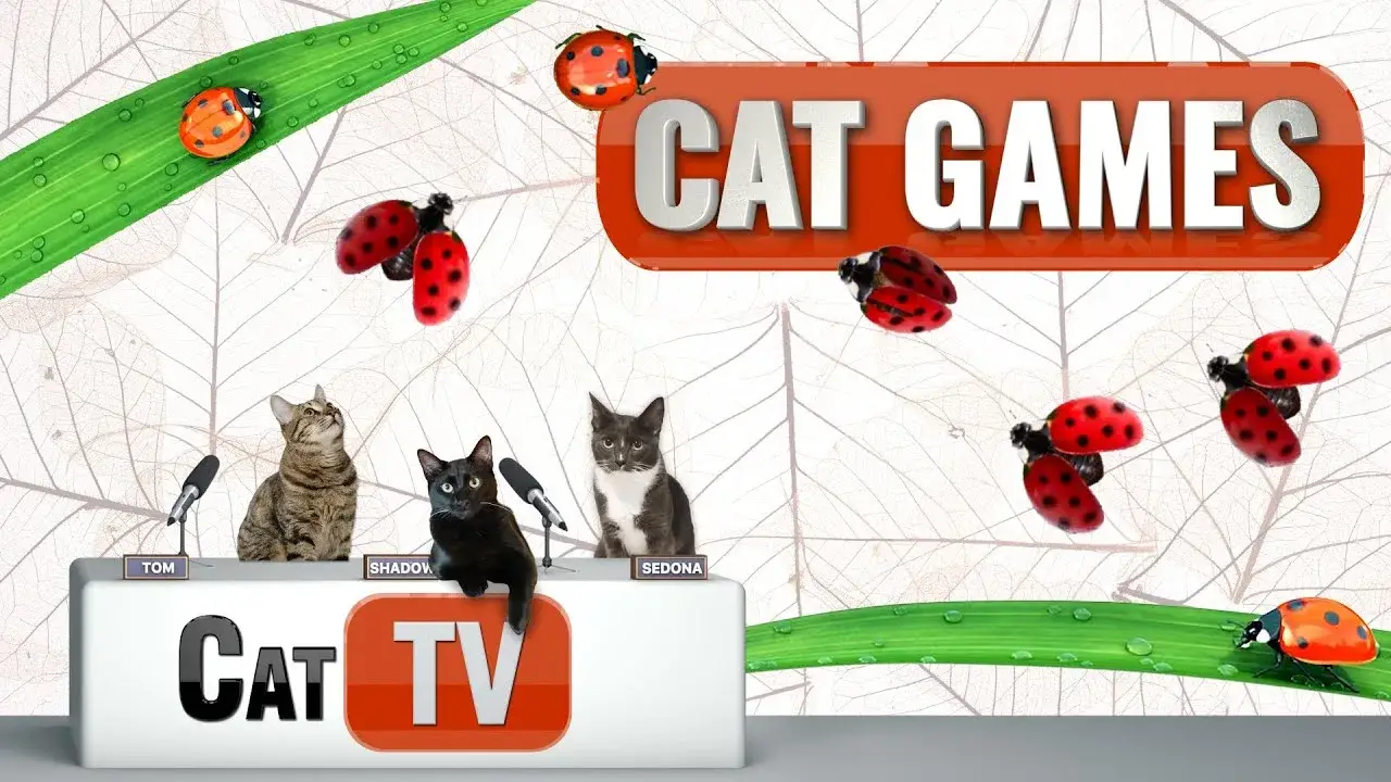 CAT Games | Ladybug Adventures 🐞✨ | Videos For Cats to Watch | 😼