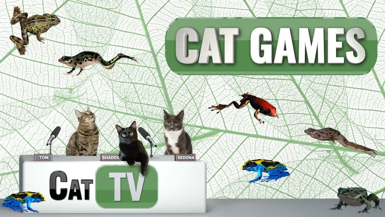 CAT Games | Froggy Frolics 🐸 | Cat TV Videos For Cats to Watch 😼