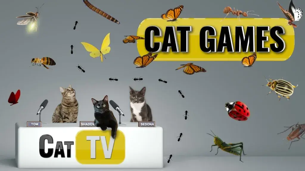 cat tv games
