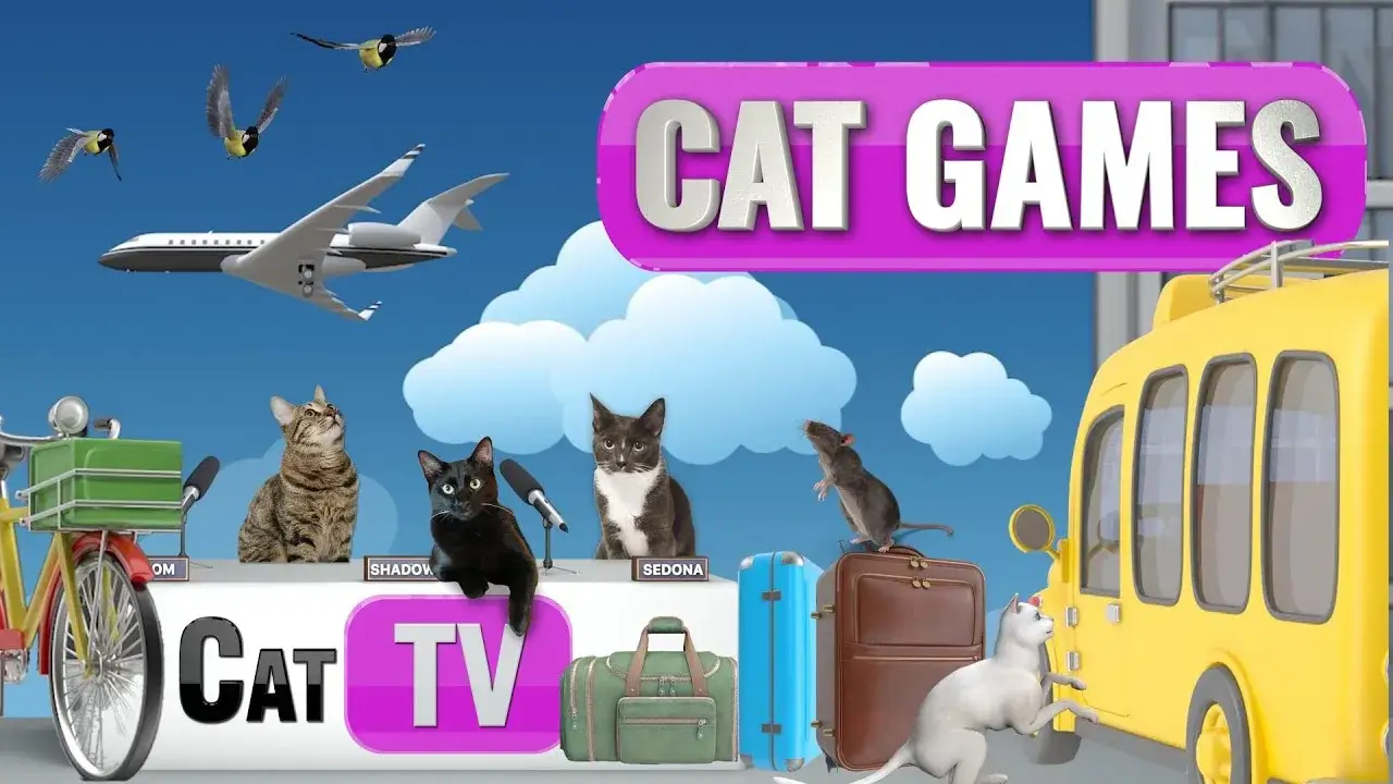 CAT Games | Cat TV Travel Adventure! 🚗🚲🚁🧳✈️ | 4K Videos For Cats to Watch 😼 | Dog TV