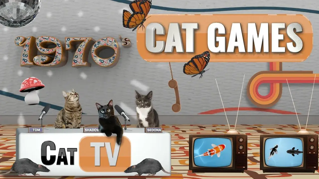 CAT Games | Groovy 70s Extravaganza | Cat TV 4K | Videos For Cats to Watch | 1 Hour 😼 📺