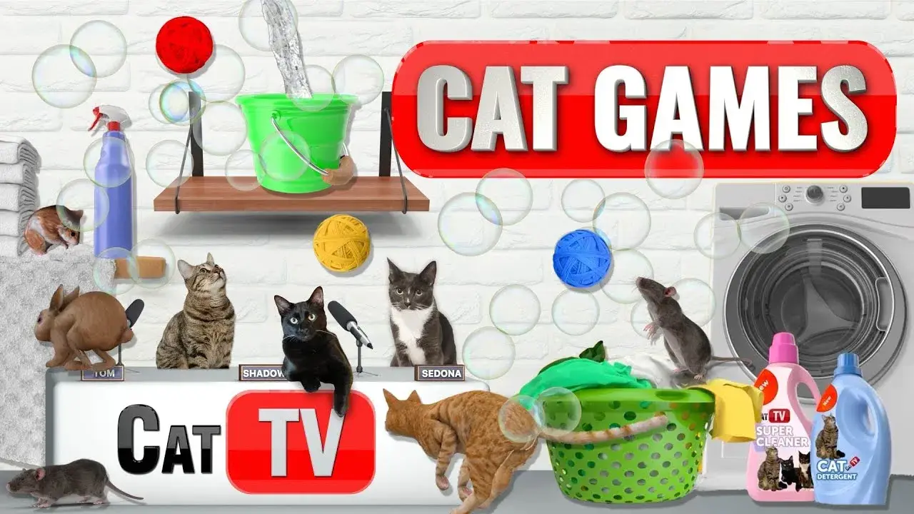 CAT Games | Laundry Day Lunacy: Bubbles, Mice, Rabbits, and Adorable Mayhem Unleashed! 💦 🧺 🧼🧶 Cat TV