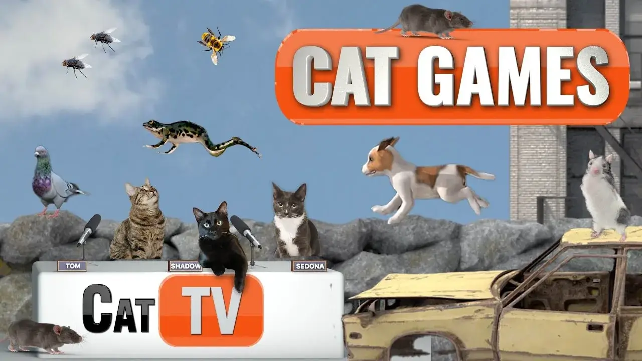 Cat Games | Whiskeropolis Takeover: When Animals Rule the City! 🐾 | Cat TV Compilation