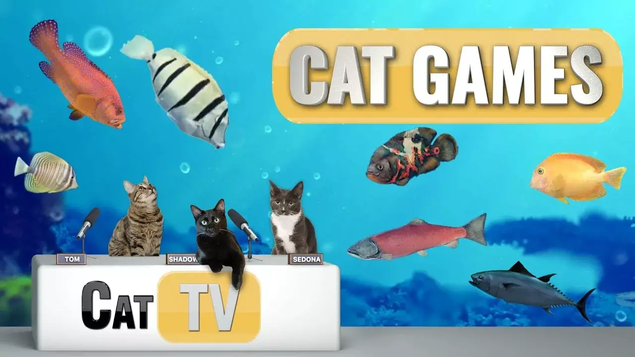 CAT Games | Fish and Bubbles Extravaganza Vol 3! 🐟💦 | Cat TV Compilation Video For Cats to Watch