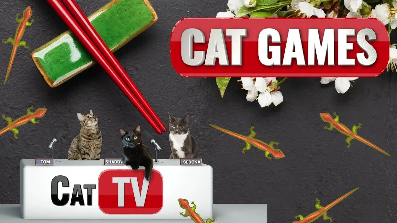 CAT Games | Larry the Lizard Explores Japan! 🦎🇯🇵 | Lizard Videos For Cats to Watch 😼 | Cat TV