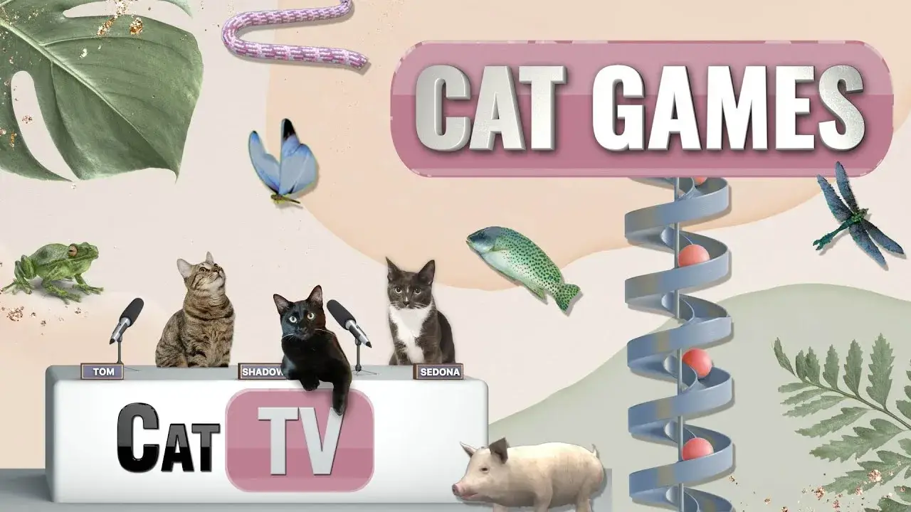 The Perfect Screen Game For Cats | Ultimate Cat TV Compilation Vol 18