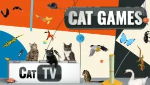 ultimate-cat-tv-compilation-vol-19