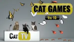 bugs-and-butterflies-video-for-cats-vol-10
