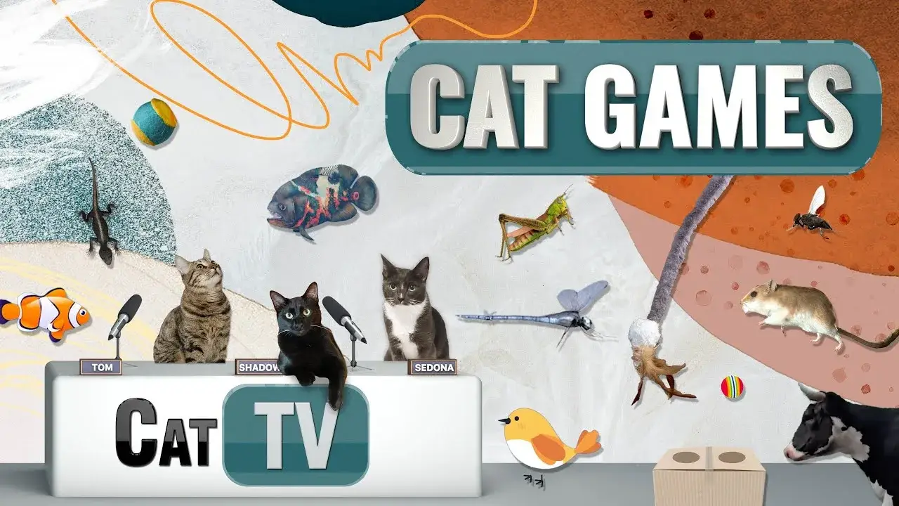 CAT Games | Ultimate Cat TV Compilation Vol 20 | 2 HOURS 🐝🐞🦋🦎🦜🐜🐭🧵