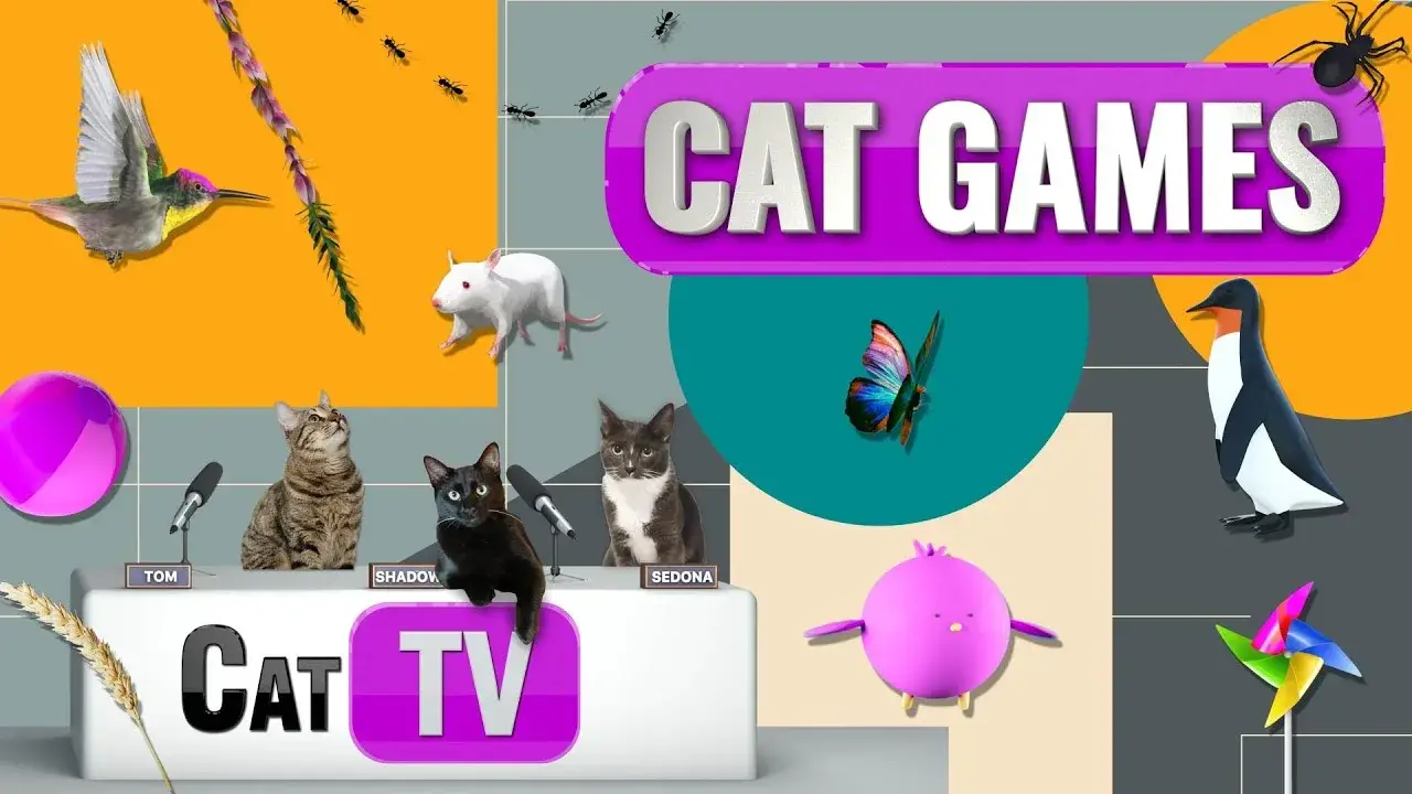 Cat Games | Ultimate Cat TV Compilation Vol 15 | 60 Games in 1 Mix | 2 HOURS 🐇🎣🎈🦜🐜🐭🐝🐞🦋🦎