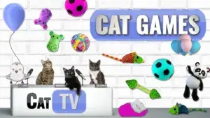 compilation-game-for-cats