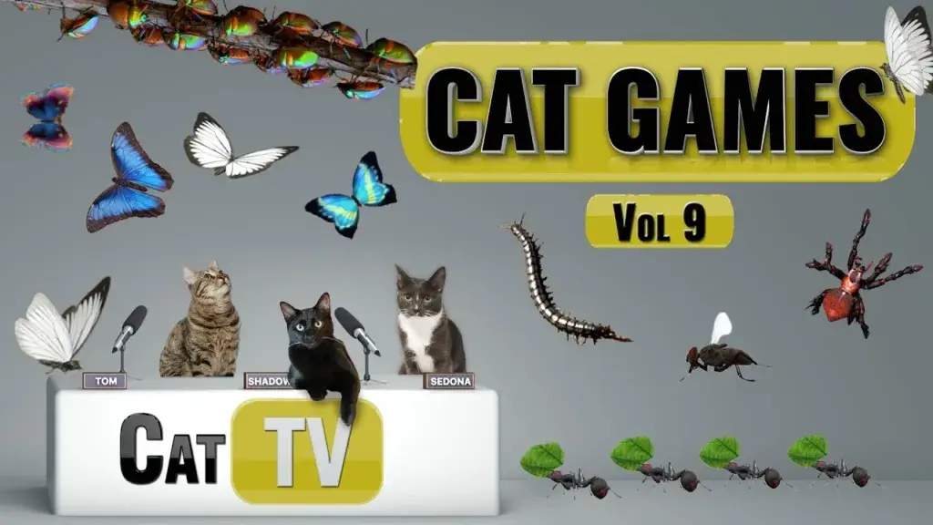 ultimate-cat-tv-compilation