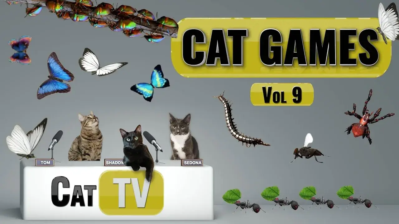 CAT Games | Ultimate Cat TV Bugs and Butterflies Compilation Vol 9 🐝🐞🦋🦗🐜 | Videos For Cats to Watch