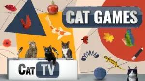 screen-game-for-cats -cat-tv-games
