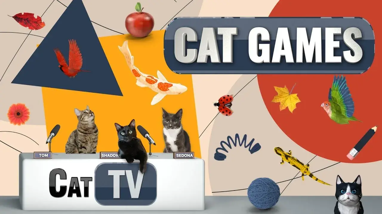 Ultimate Cat TV Compilation Vol 17