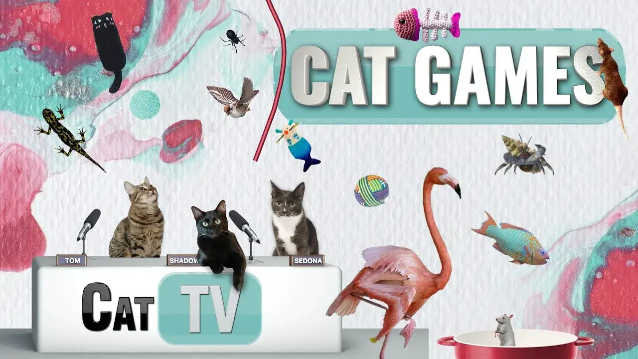 CAT Games | Ultimate Cat TV Compilation Vol 21 | 2 HOURS 🐝🐞🦋🦎🦜🐜🐭🧵