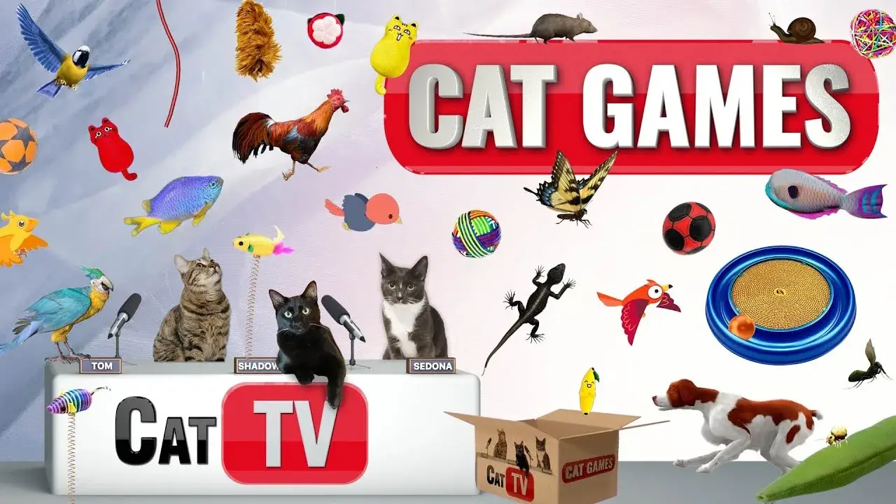 CAT Games | Ultimate Cat TV Compilation Vol 27 | 2 HOURS 🐝🐞🦋🦎🦜🐜🐭🧵