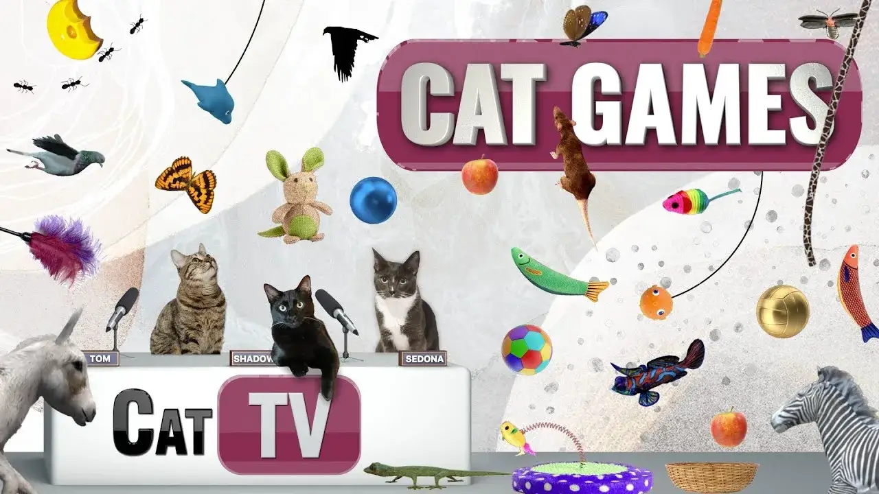 CAT Games | Ultimate Cat TV Compilation Vol 28 | 2 HOURS 🐝🐞🦋🦎🦜🐜🐭🧵