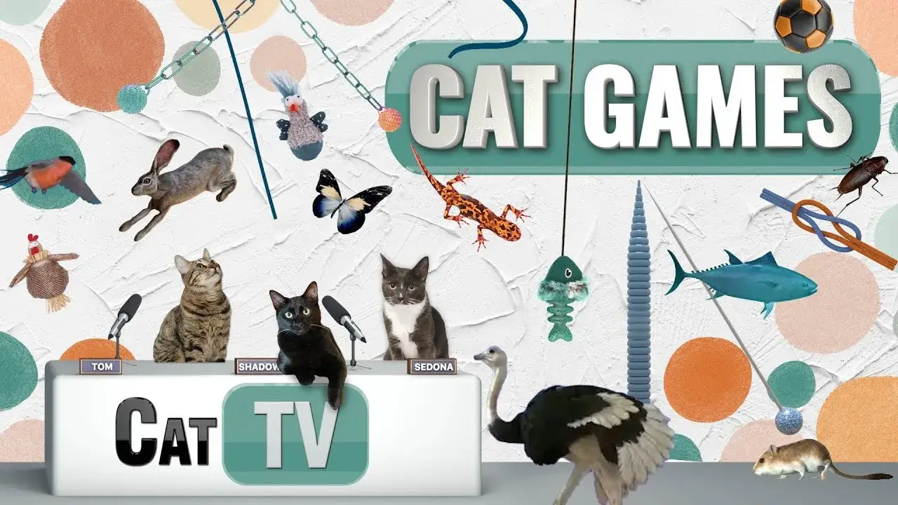 CAT Games | Ultimate Cat TV Compilation Vol 29 | 2 HOURS 🐝🐞🦋🦎🦜🐜🐭🧵