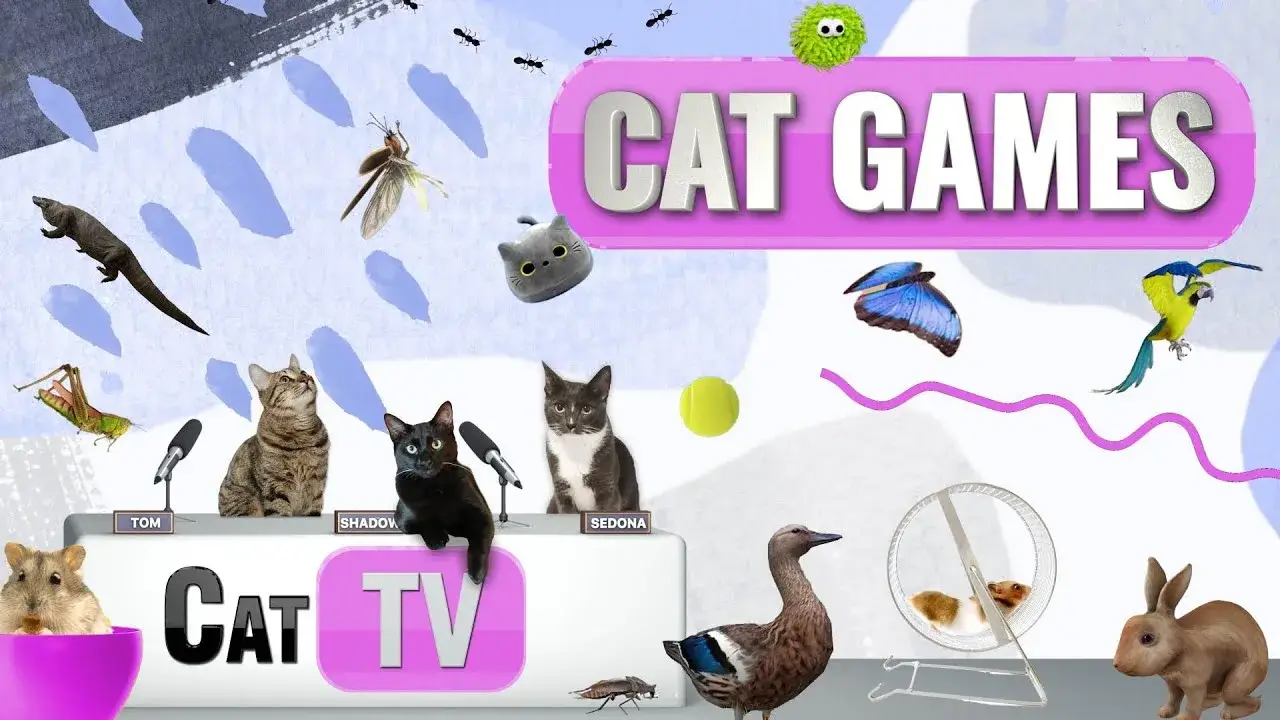CAT Games | Ultimate Cat TV Compilation Vol 22 | 2 HOURS 🐝🐞🦋🦎🦜🐜🐭🧵