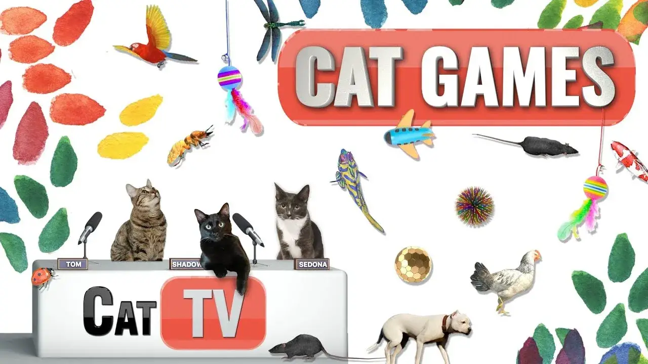 CAT Games | Ultimate Cat TV Compilation Vol 24 | 2 HOURS 🐝🐞🦋🦎🦜🐜🐭🧵