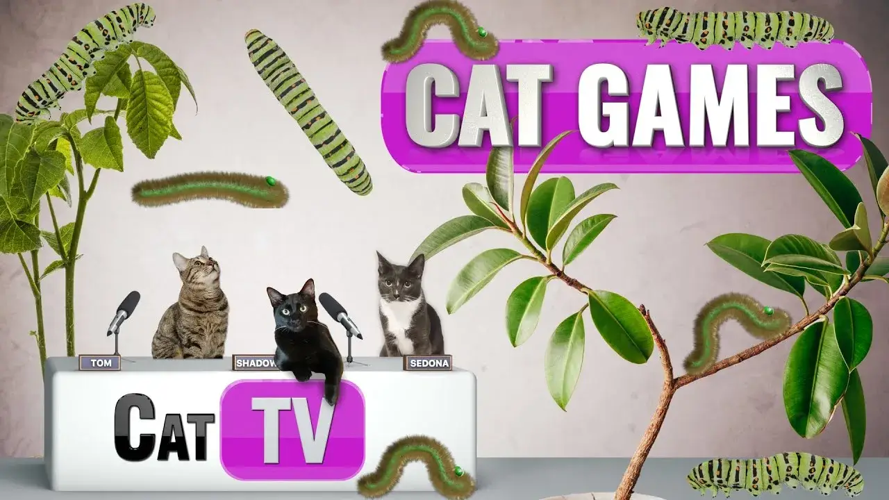CAT TV | 🐛 Caterpillar Zen Garden: Serene Scenes for Feline Relaxation 🌿 | Videos For Cats to Watch
