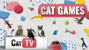 cat-games-compilation-25