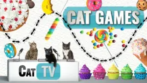 ant video for cats to watch