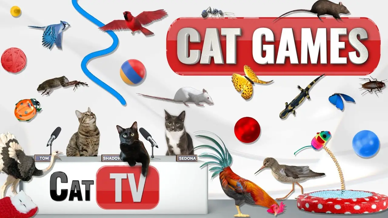 CAT Games | Ultimate Cat TV Compilation Vol 36 | 2 HOURS 🐝🐞🦋🦎🦜🐜🐭🧵