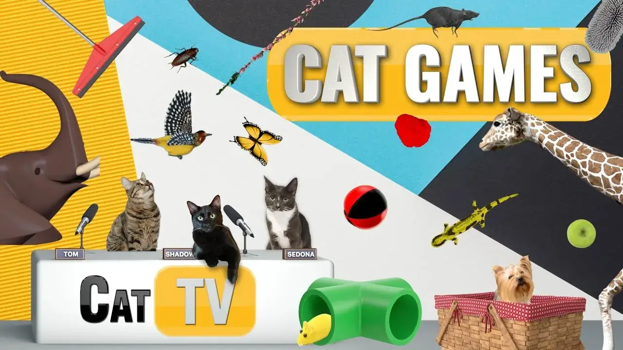 CAT Games | Ultimate Cat TV Compilation Vol 31 | 2 HOURS 🐝🐞🦋🦎🦜🐜🐭🧵