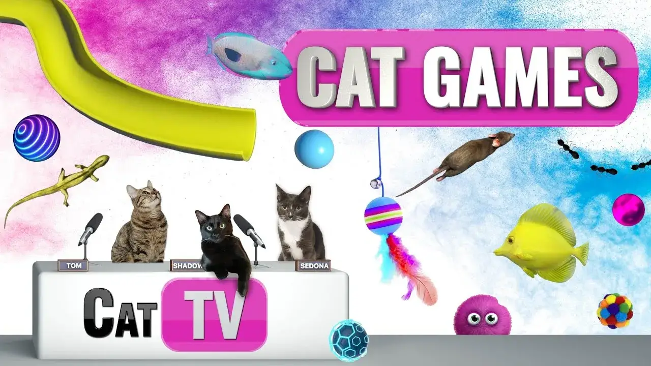 CAT Games | Ultimate Cat TV Compilation Vol 33 | 2 HOURS 🐝🐞🦋🦎🦜🐜🐭🧵
