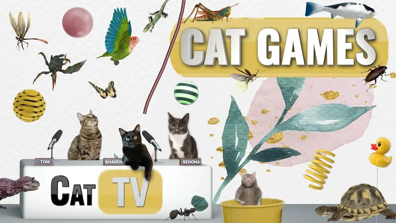 CAT Games | Ultimate Cat TV Compilation Vol 34 | 2 HOURS 🐝🐞🦋🦎🦜🐜🐭🧵