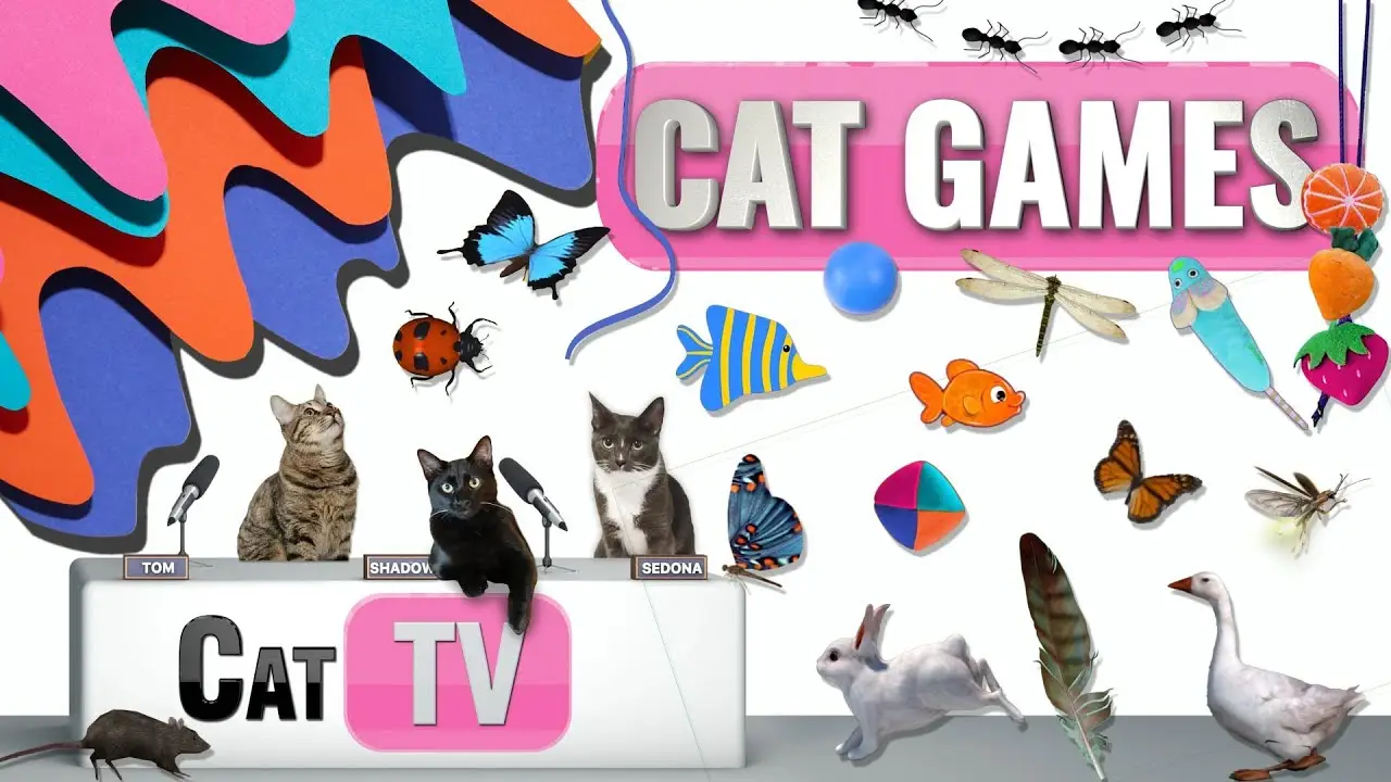 CAT Games | Ultimate Cat TV Compilation Vol 39 | 2 HOURS 🐝🐞🦋🦎🦜🐜🐭🧵