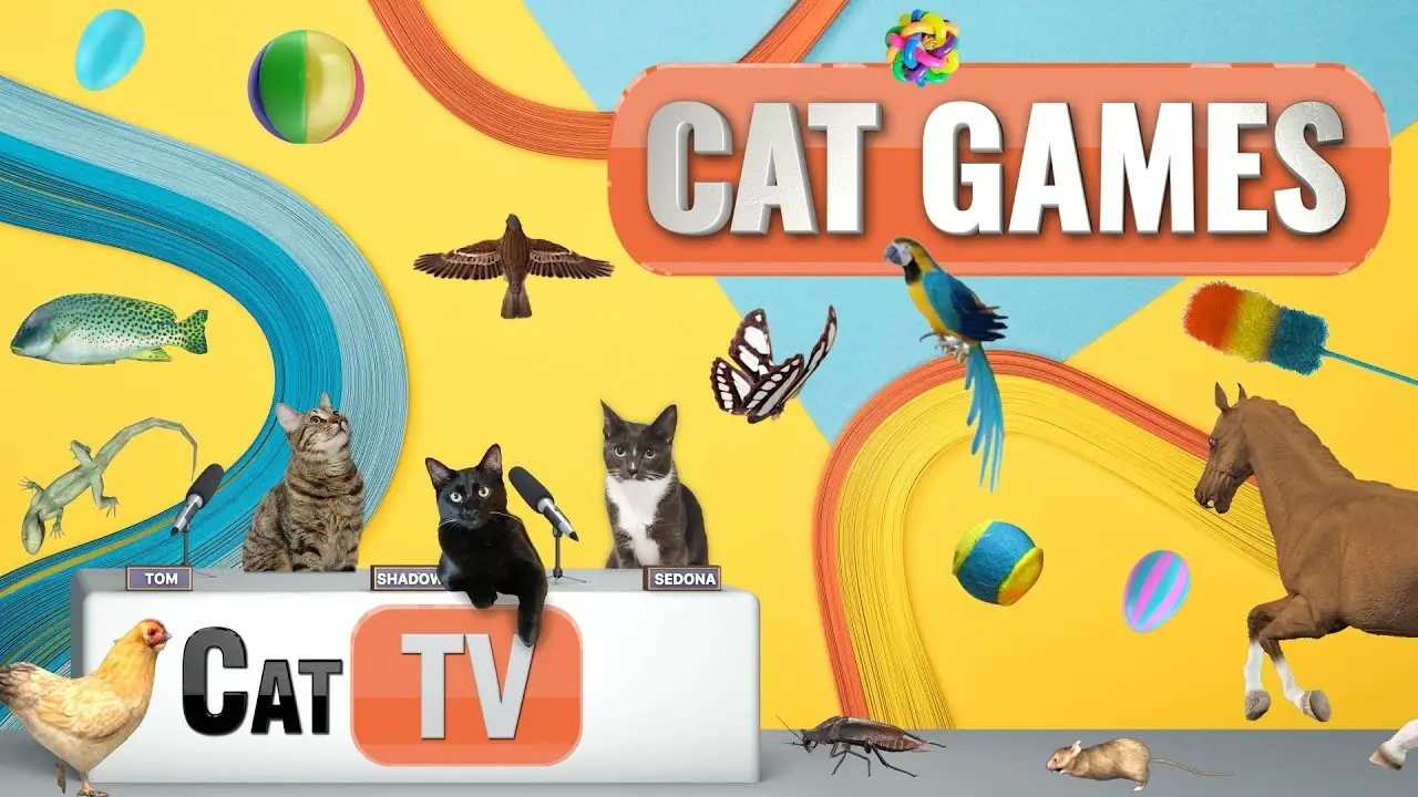 CAT Games | Ultimate Cat TV Compilation Vol 40 | 2 HOURS 🐝🐞🦋🦎🦜🐜🐭🧵