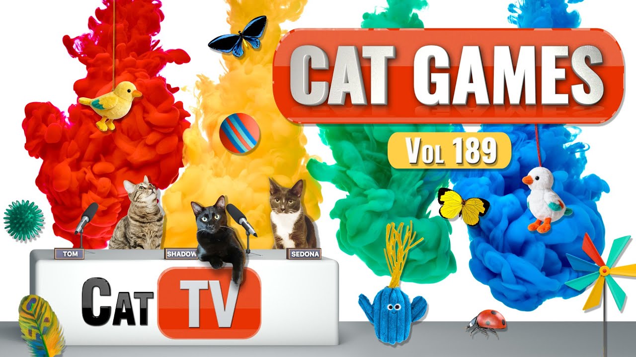 CAT Games | Ultimate Cat TV Compilation Vol 189 | 8 HOURS 🐝🐞🦋🦎🦜🐜🐭🧵