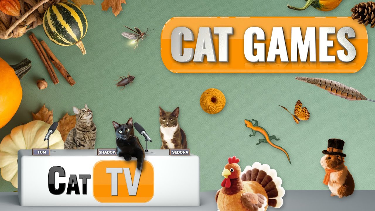 Cat Games | Thanksgiving Ultimate Cat TV Compilation 🍂🦃🍁 | Cozy Fall Critters | 8 Hours