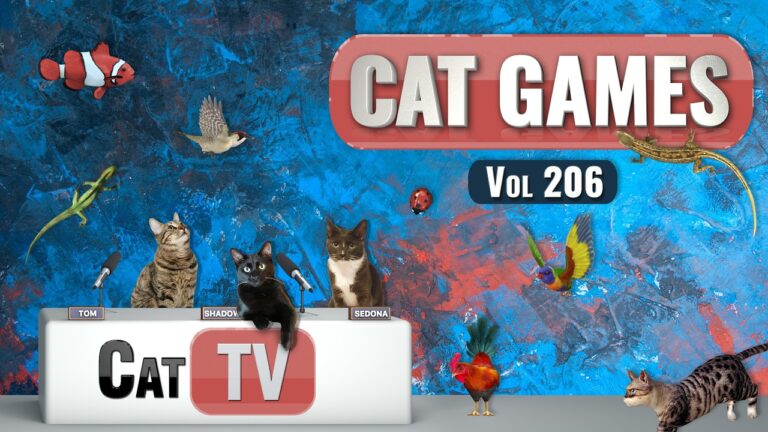 CAT Games | Ultimate Cat TV Compilation Vol 206 | 8 HOURS ๐๐๐ฆ๐ฆ๐ฆ๐๐ญ๐งต | CAT TV