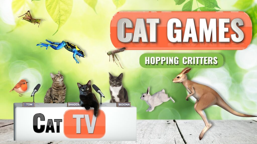 Cat TV | Hopping Critters 🐇🐸 | 8 Hours | CAT TV